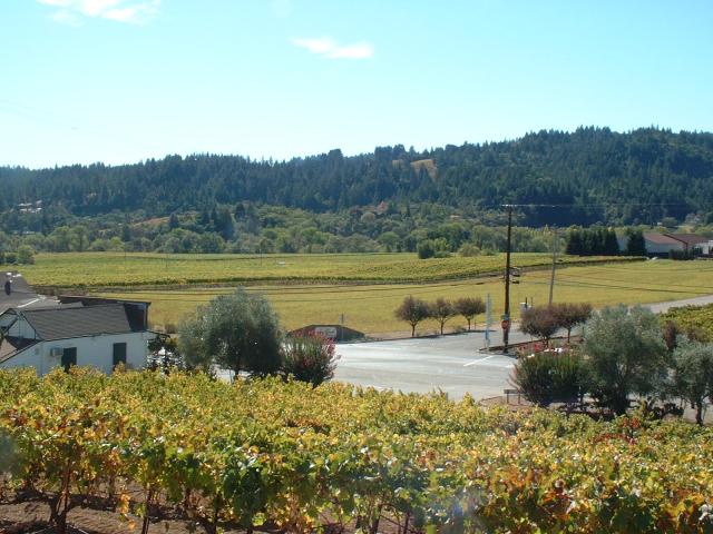 Preston Farm & Winery