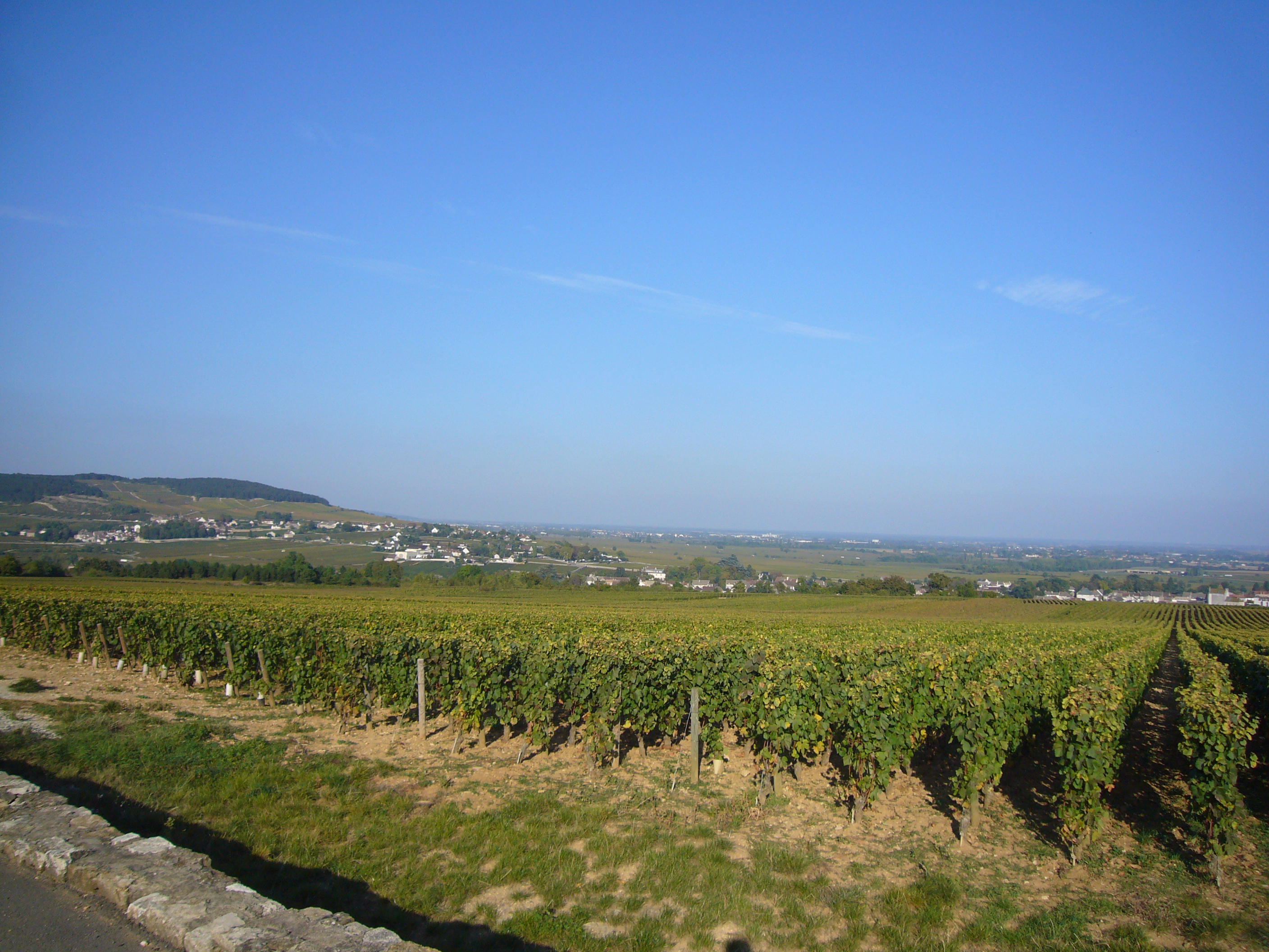 Domaine Leflaive
