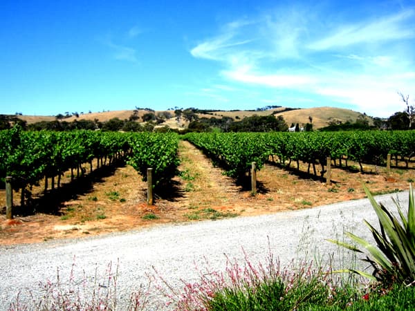 Hochkirch Wines