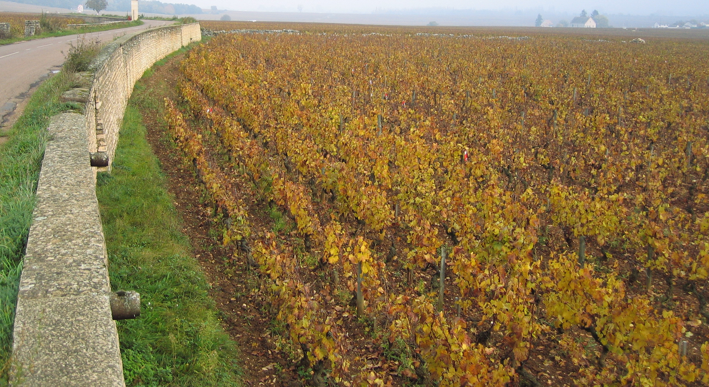 Domaine Zind-Humbrecht
