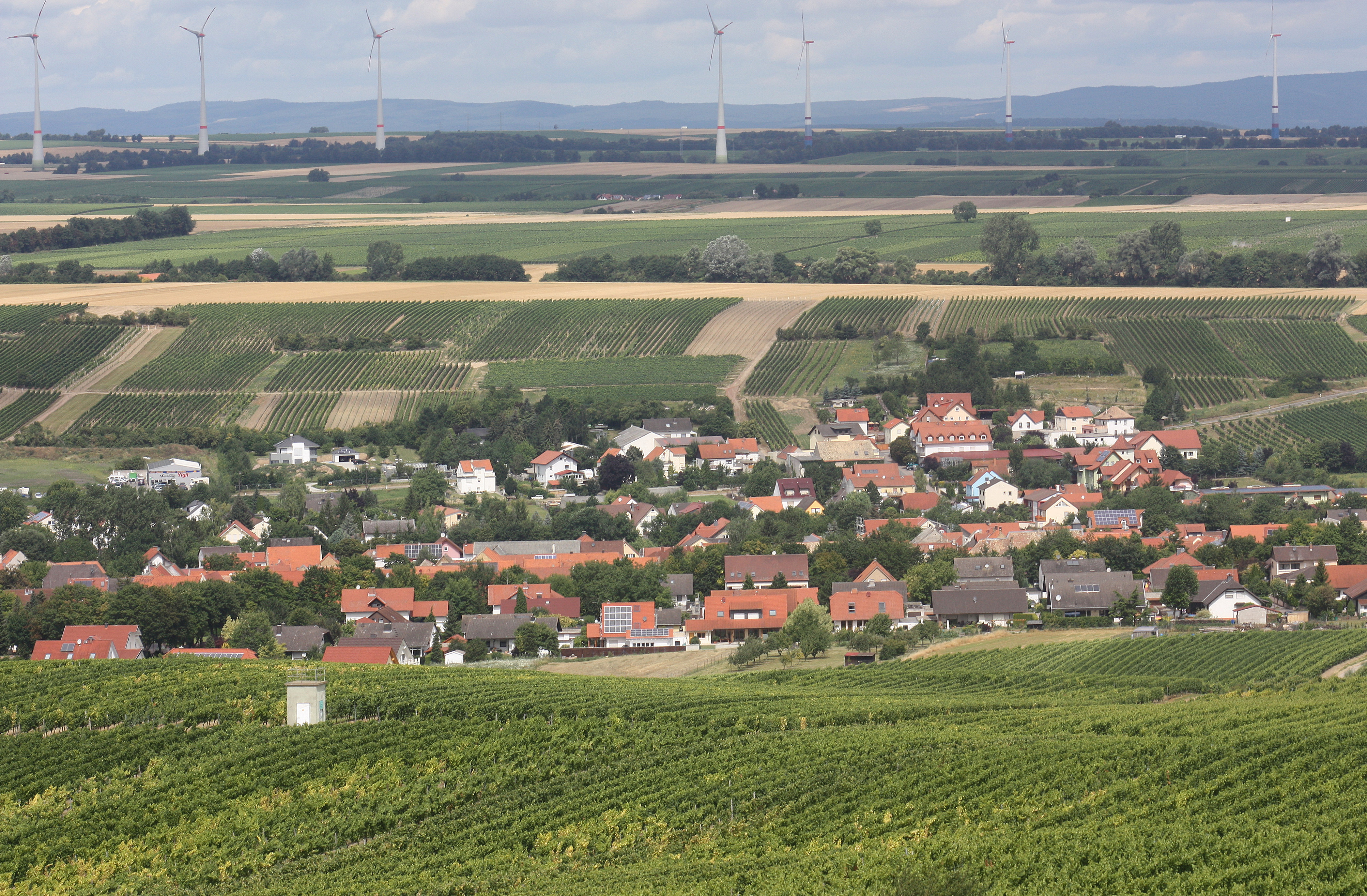 Weingut Wittmann